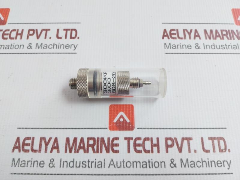 Leak Master Pressure Test Unit 300Kp Cosmo Lm-1B