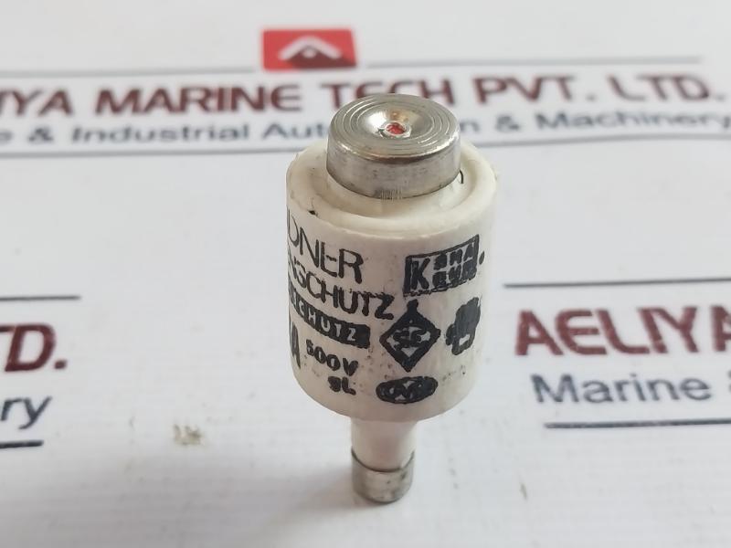 Lot of 19X Lindner 10A 500V Bottle Fuse Link GL