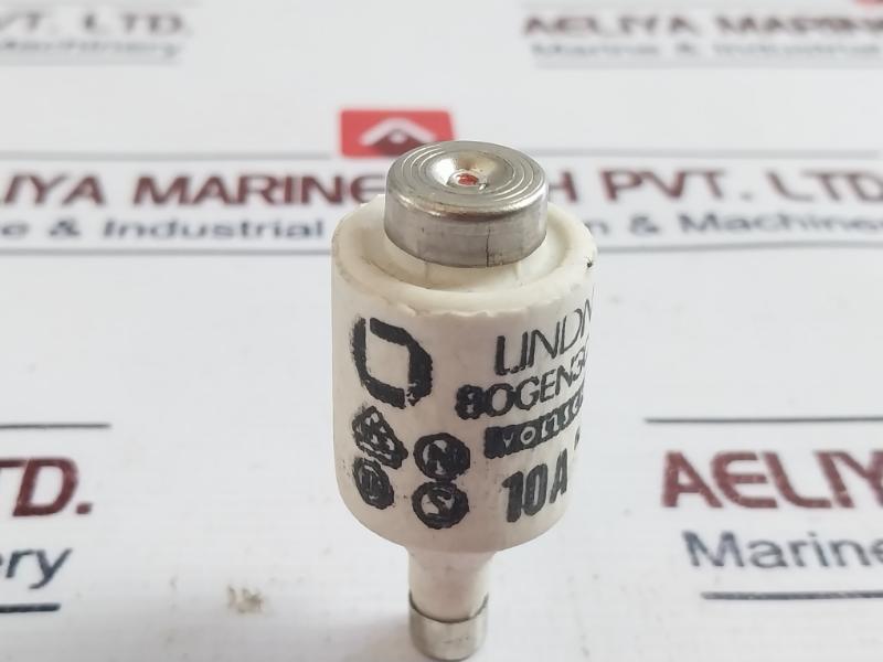Lot of 19X Lindner 10A 500V Bottle Fuse Link GL