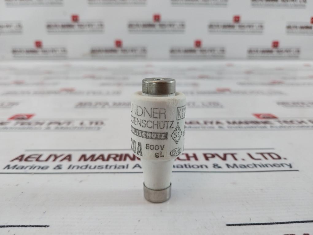 Lot of 19X Lindner 20A 500V GL Ceramic Bottle Fuse