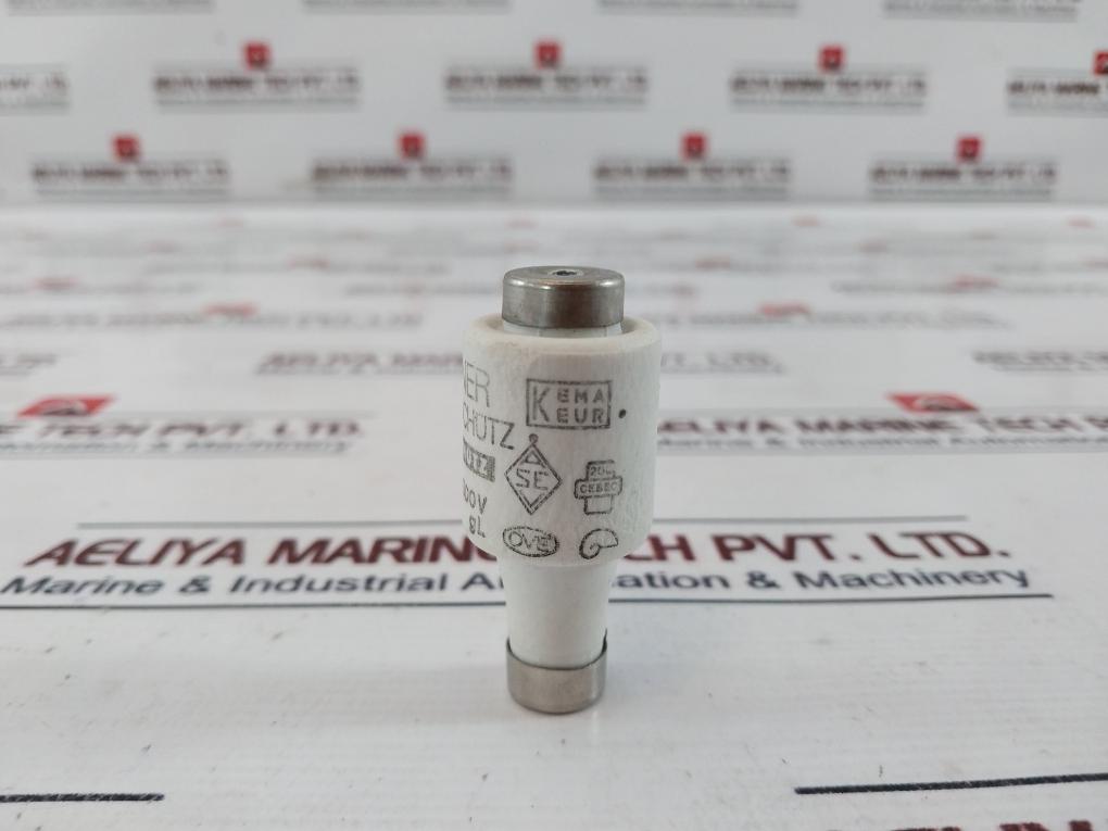 Lot of 19X Lindner 20A 500V GL Ceramic Bottle Fuse