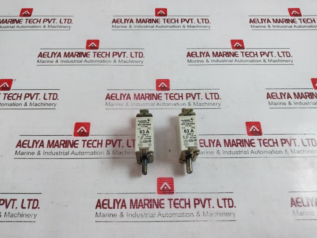Lot of 2X M.Schneider NH-00/000 Eurofuse GL-GG 120KA DIN 43620 370 663