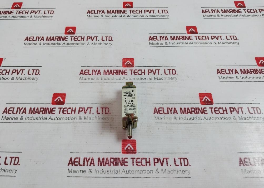 Lot of 2X M.Schneider NH-00/000 Eurofuse GL-GG 120KA DIN 43620 370 663