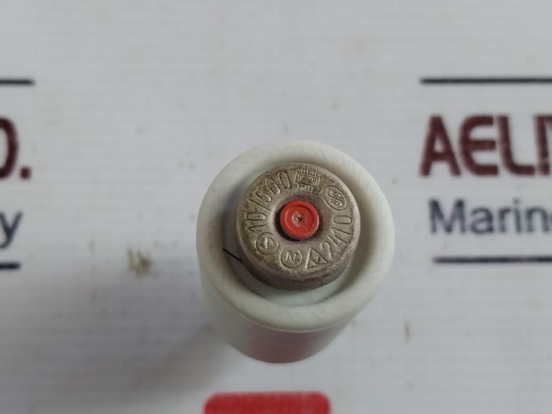 Lot of 5X D II 10A 500V Bottle Fuse 2410