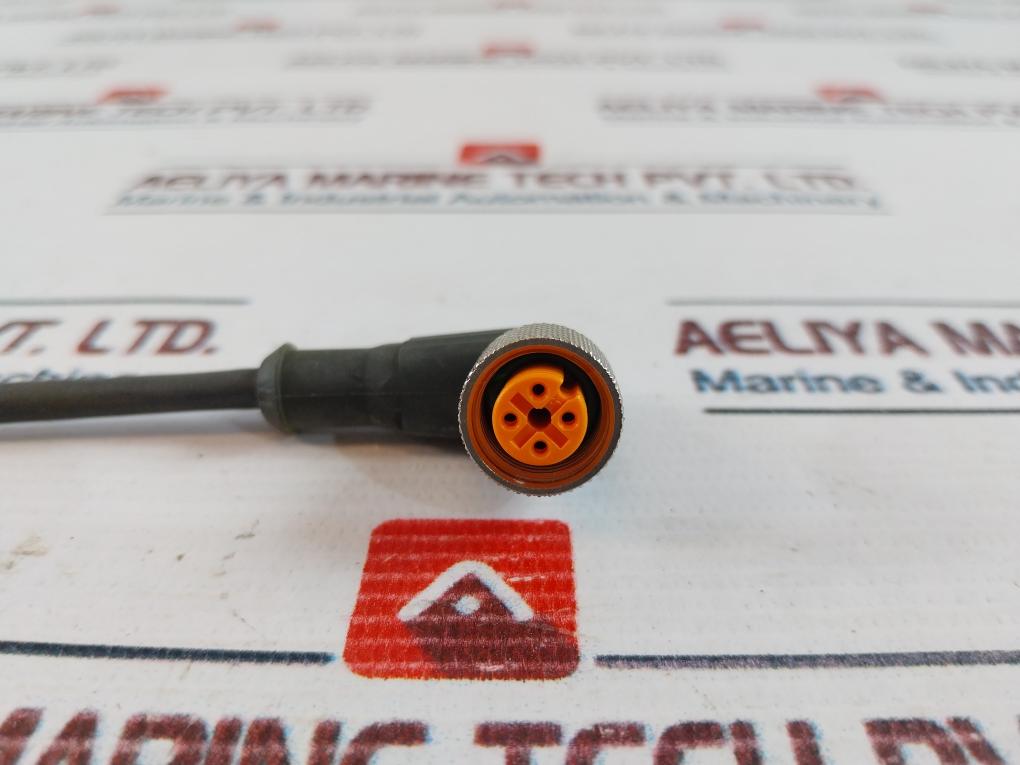 Lumberg Automation Rkwt 4-225/5m Sensor-actuator Patch Cord