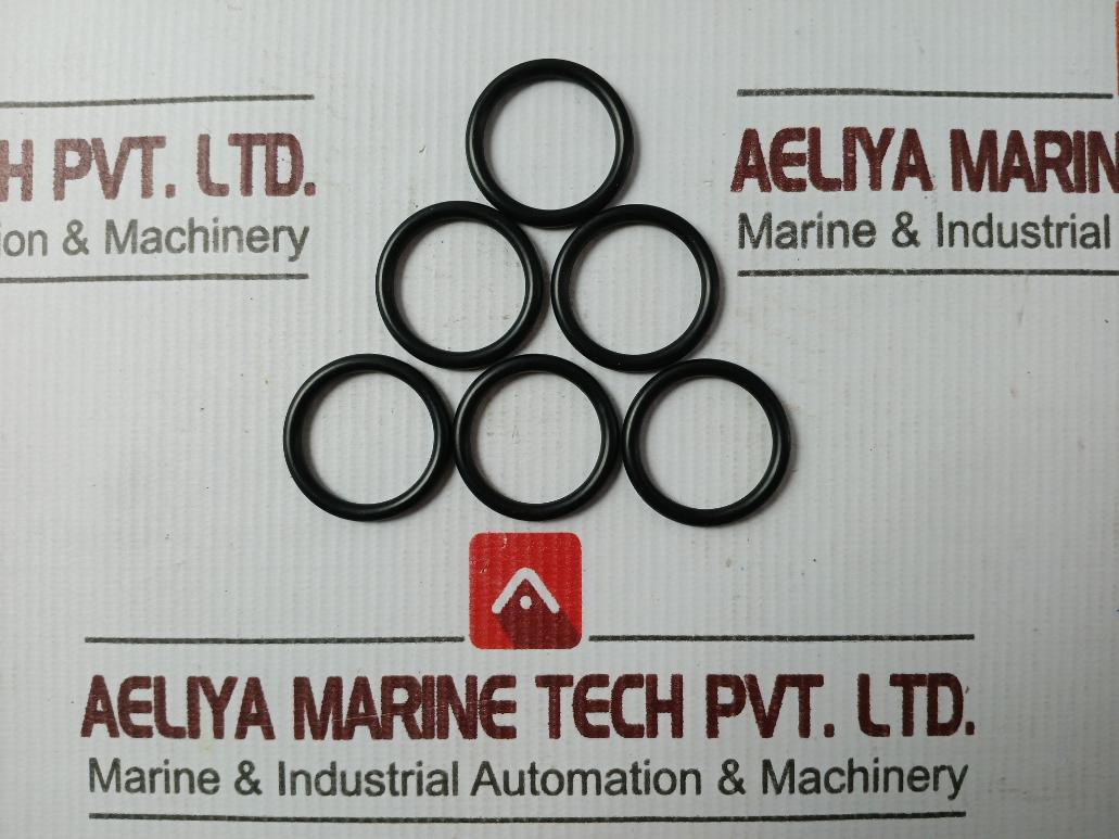 Macgregor 1074706.001 O-ring, Bushing, Check Valve, Studs, Screws, Washer Set