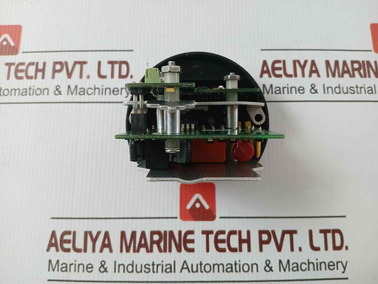 Magnetrol Rev-d Level Switch 961