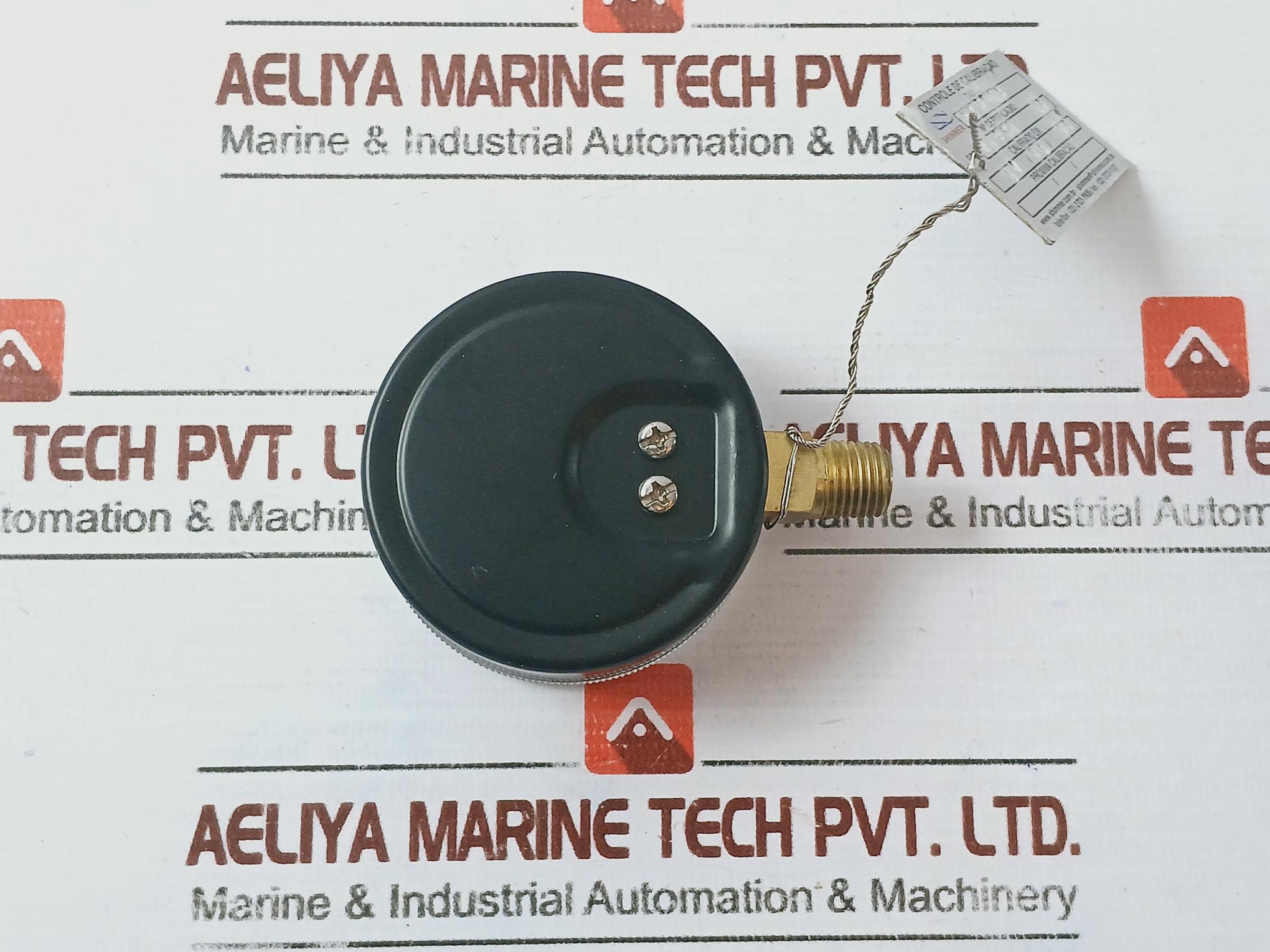Marsh Gauge 0-300 Psi / 0-2100 Kpa 2.5" Dial