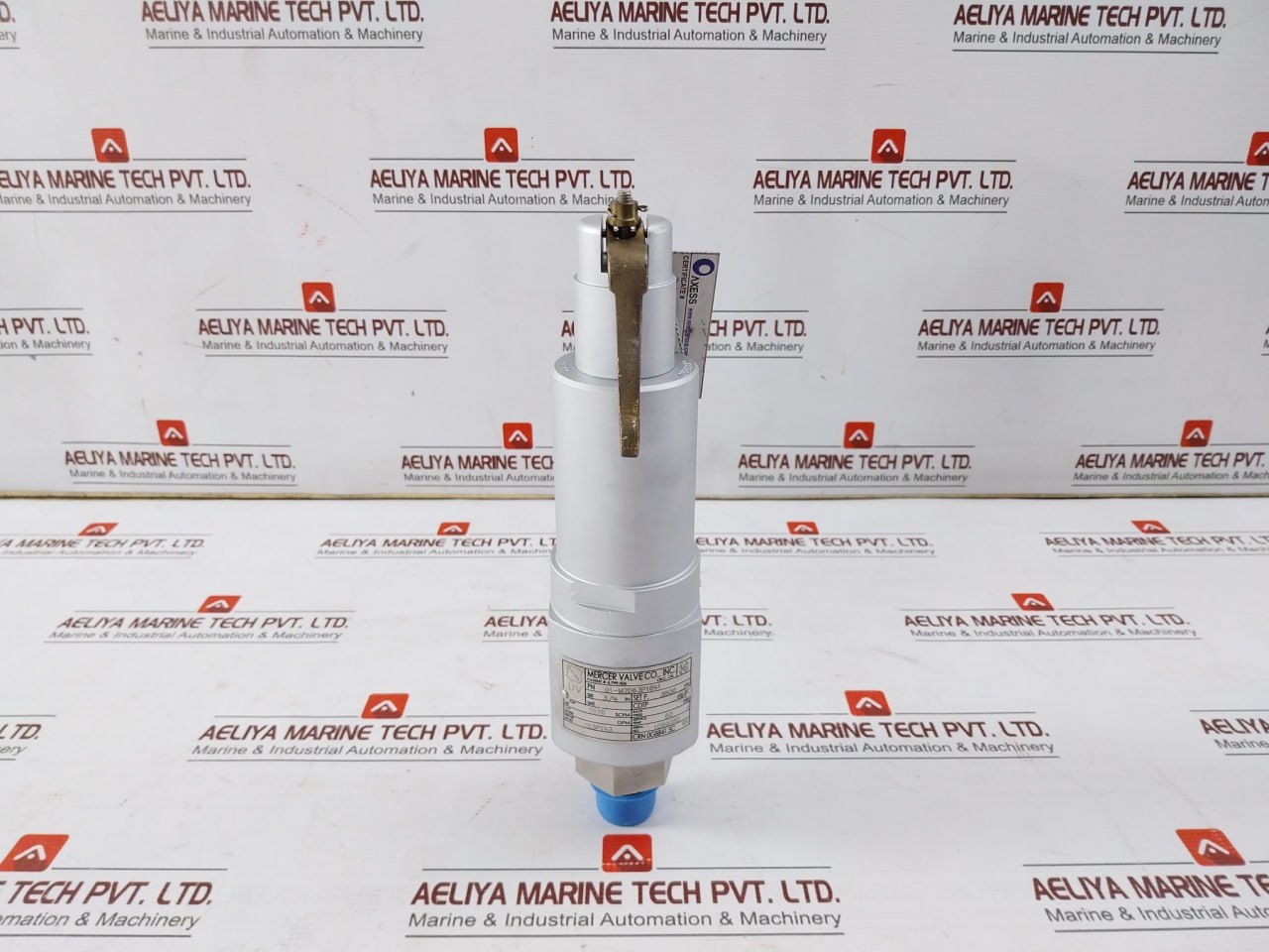 Mercer Valve 91-m2D63P1641 3/4-inch Safety Relief Valve Crn 0G8841.5C R1 3500Psi