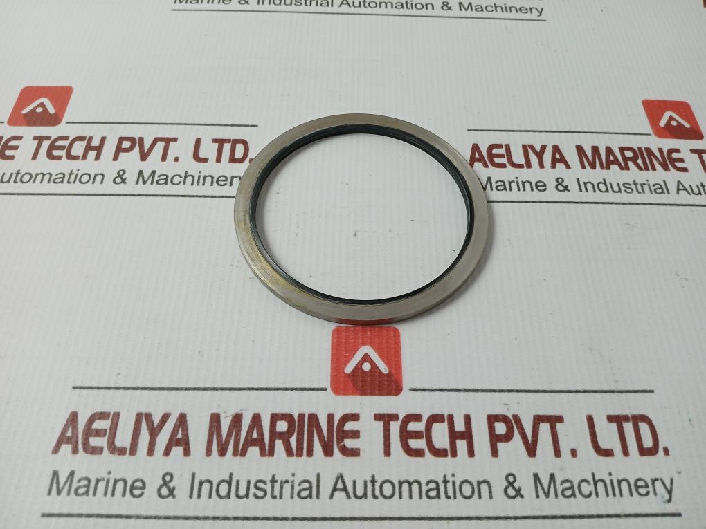 Metal Plastic Gasket Gs-hydro 4839 Ss