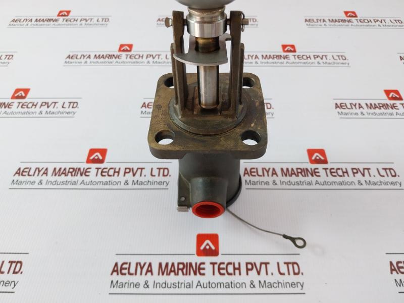 Mobrey Magnetic Level Switch S01D/F83