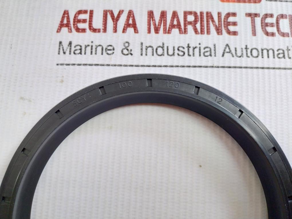 Nak Rotary Shaft Oil Seal 100 120 12