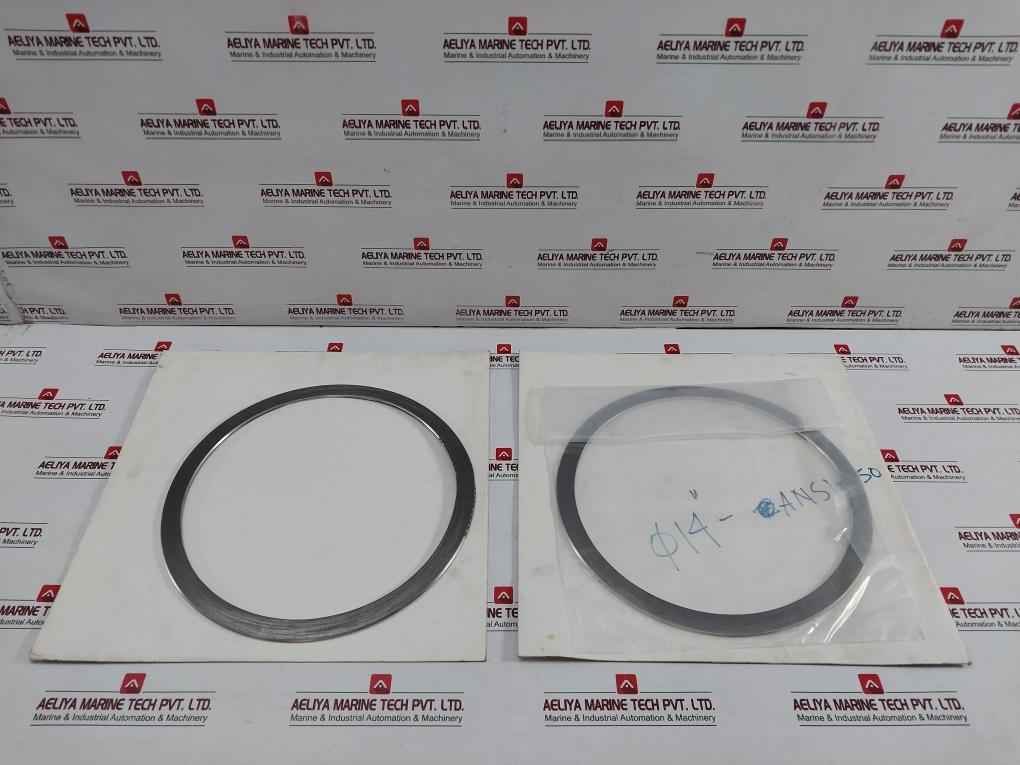 New Condition Spiral Wound Gasket