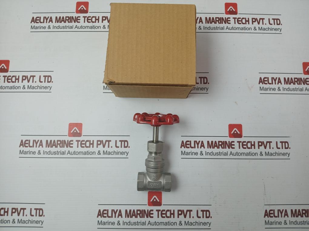New Stainless Steel Gate Valve 1/2 Inch Cf8M