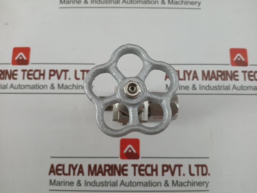 20Mpa Ss304 Nks Stainless Steel Flange Gate Valve Threaded