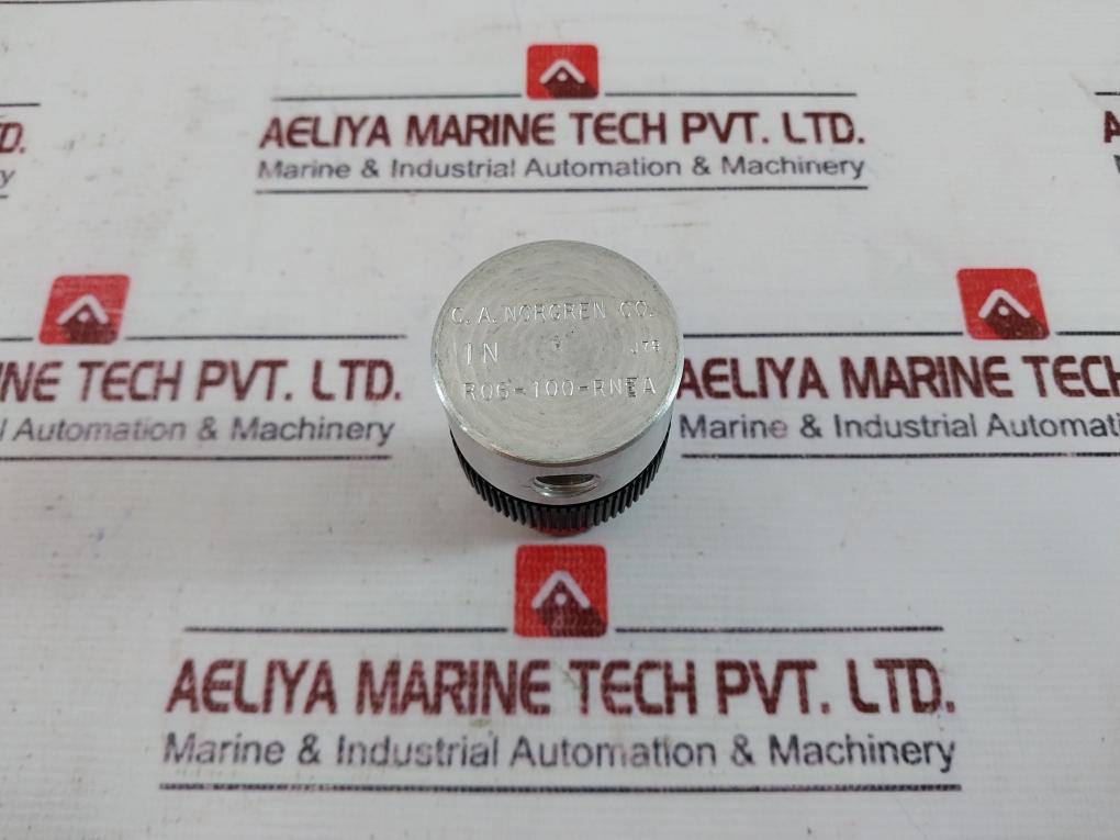 Norgren R06-100-rnea Water/Air Regulator