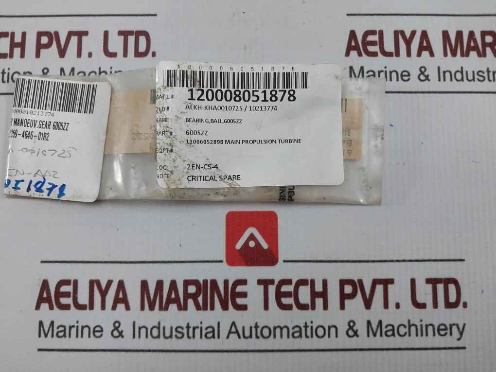 Nsk 6005Zzav2S