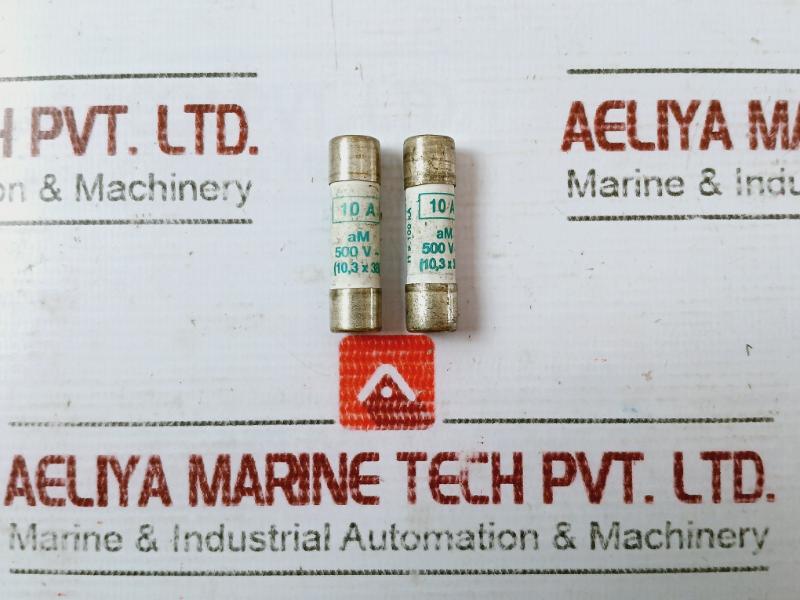 Lot of 2X OMEGA Fuse 10A 500V 10.3x38mm