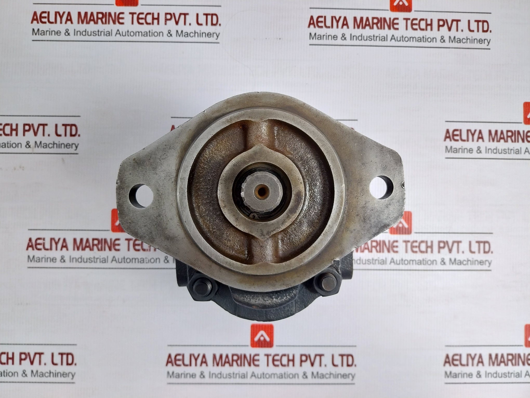 Parker 7029111086 Hydraulic Gear Pump