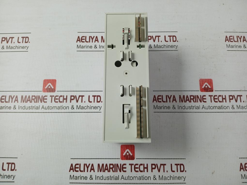 Pcd4-W100-Analog-I-O-Module-24-Vdc-Saia-burgess-209082-4