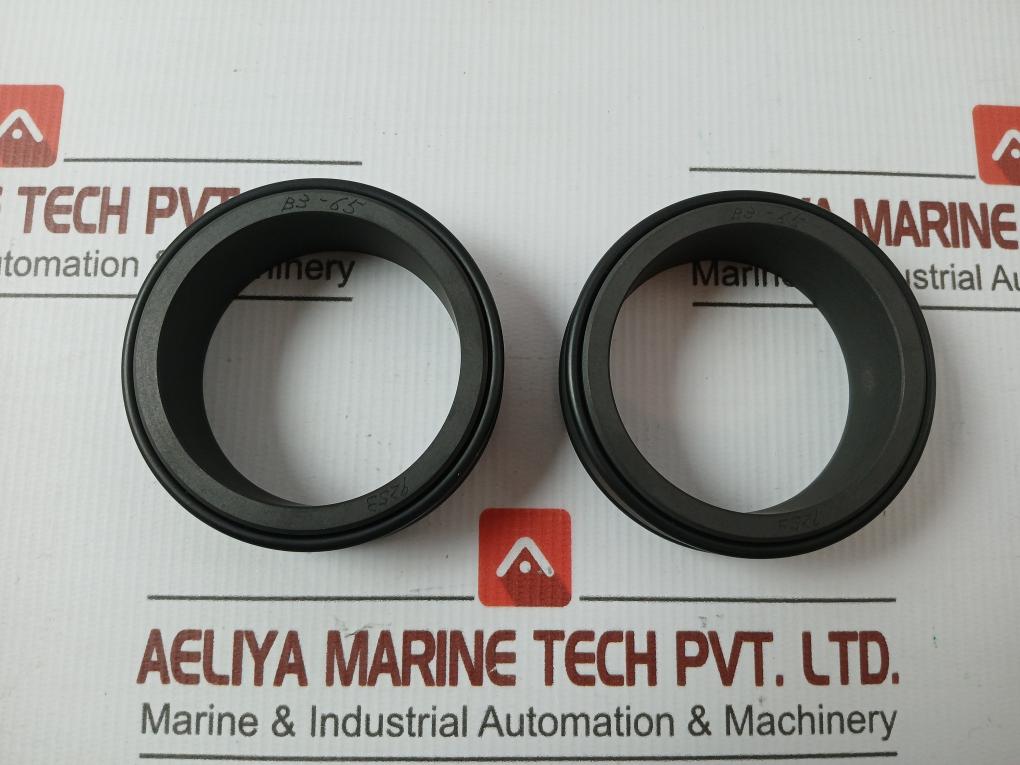Pillar Mechanical Seal Cs10-060Jp