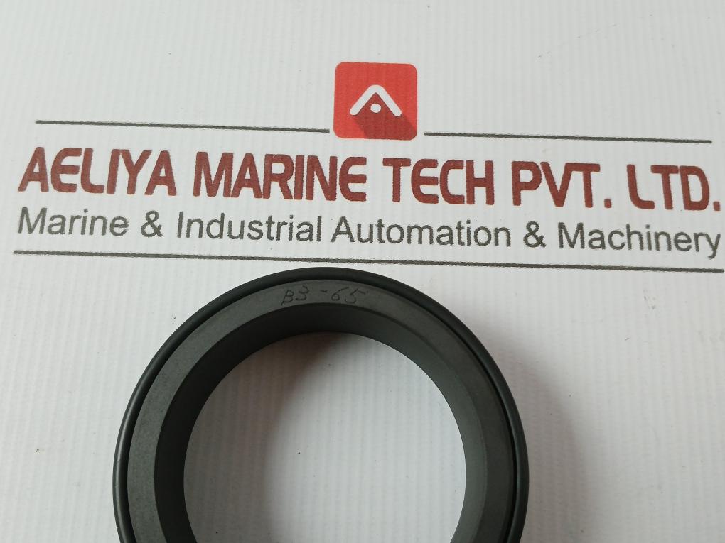 Pillar Mechanical Seal Cs10-060Jp