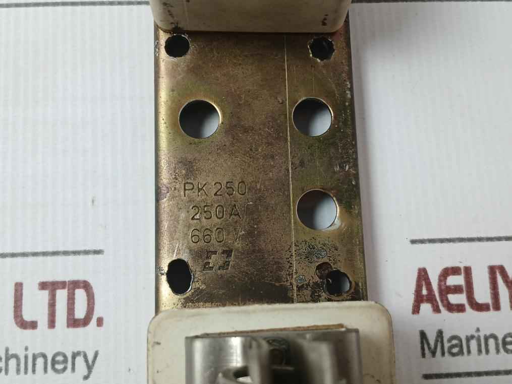 Pk 250 250A I/O Expansion Unit 660V