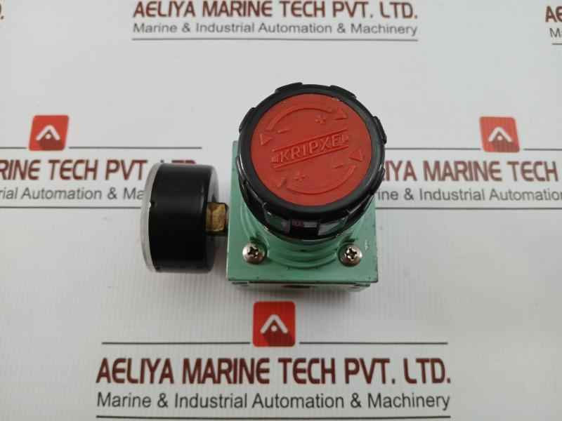 Pneumatic Air Flow Regulator With Analog Pressure Gauge 0-12 Bar Kripxe