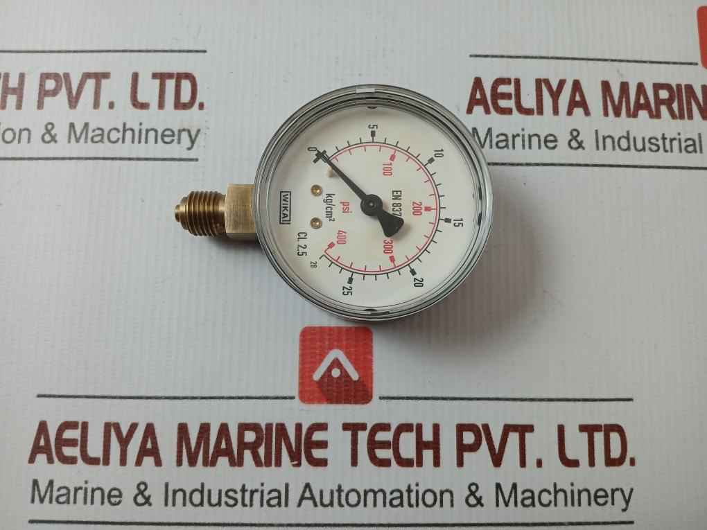 Pressure Gauge 28 Kg/Cm2 & 400 Psi 111.10.63 Wika