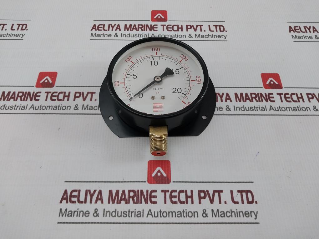 Pro-instrument Kc-g15 Pressure & Temperature Gauge 0-20 Kg/Cm2 4"P-b X 3/8Pt