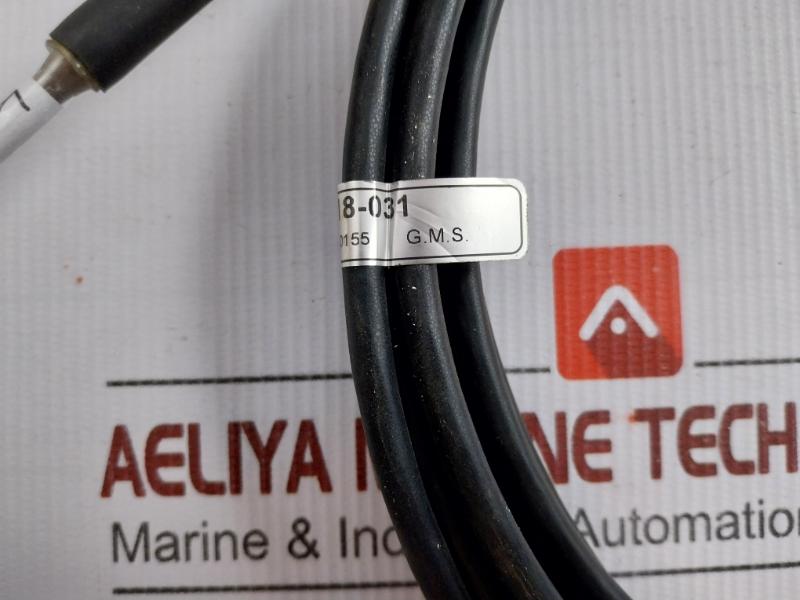 Probe Sensor Assembly 1018-031 Senmatic