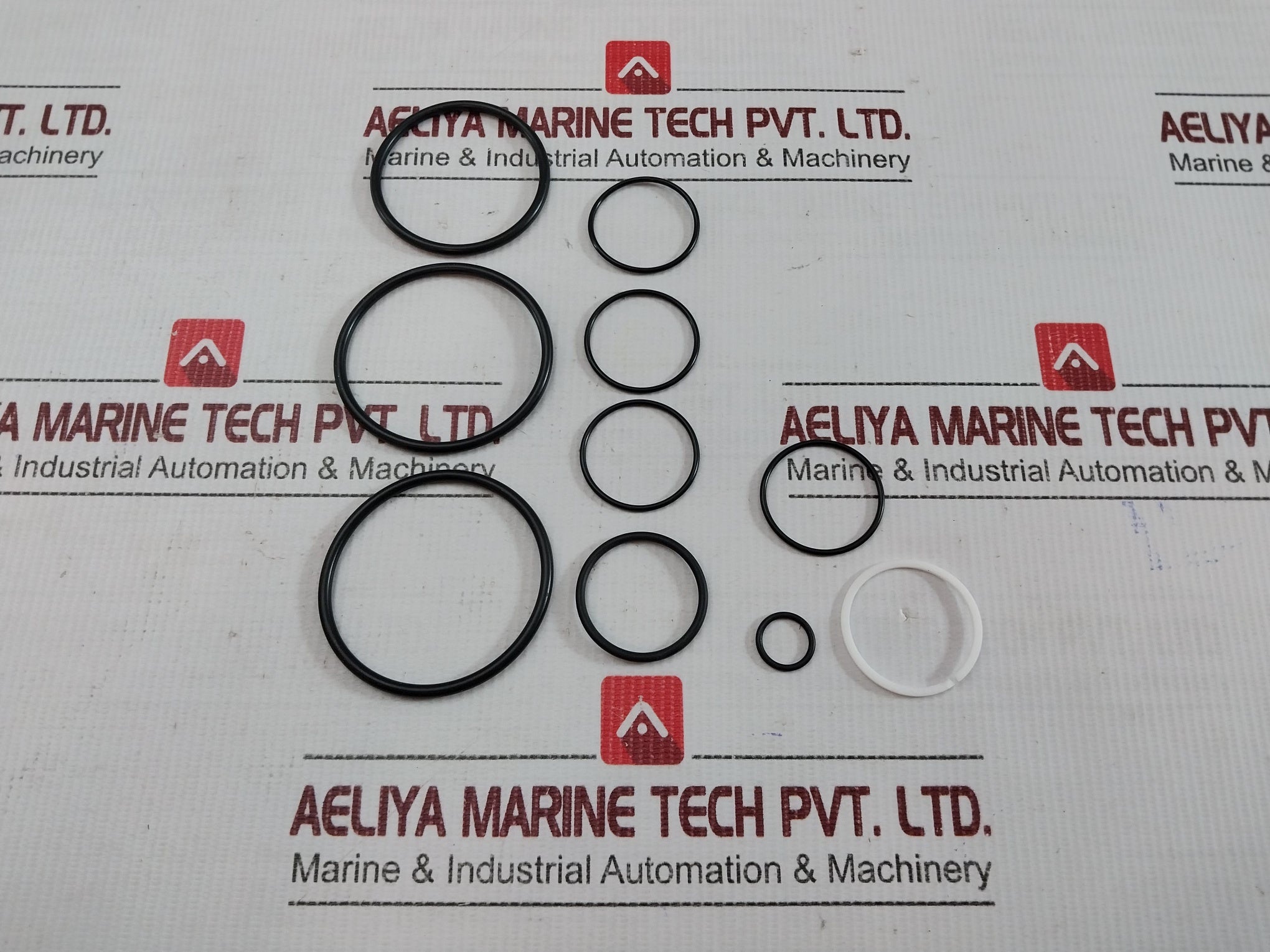 Proserv 44819-96 Rk Repair Kit 9910173 Rev.A