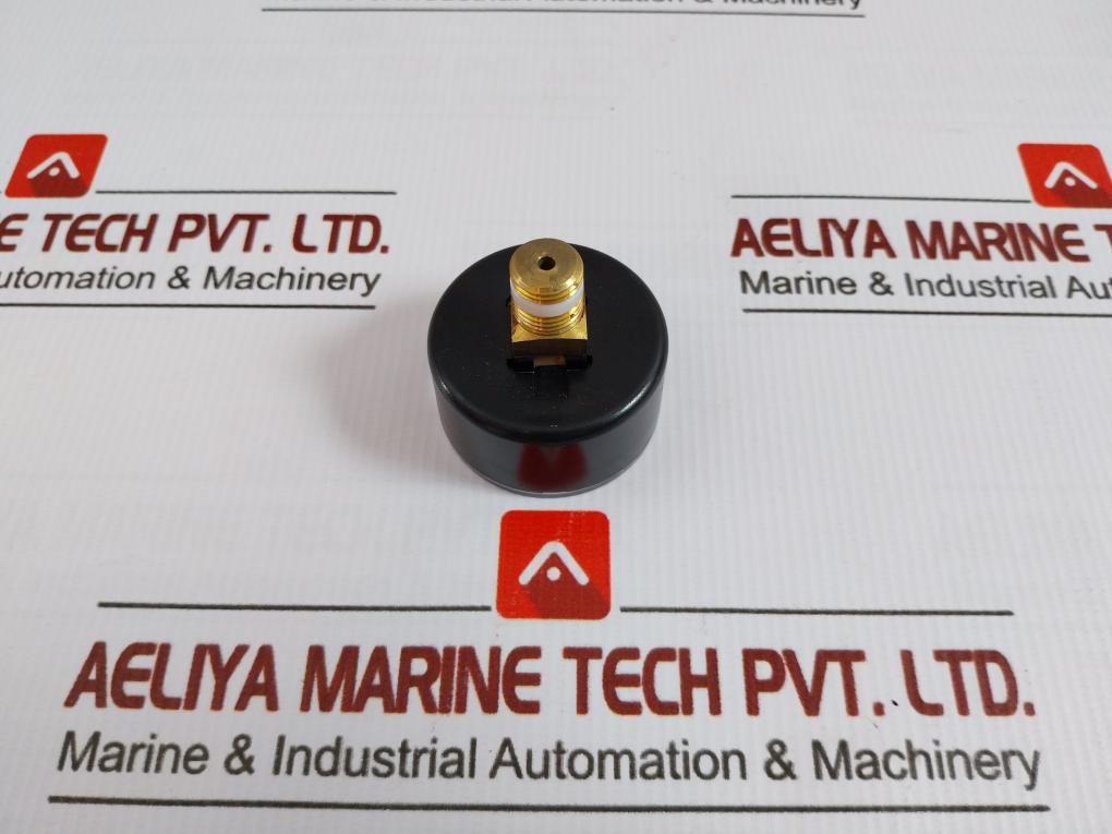 R480332538 Filter Pressure Regulator 0-120/145 Psi Aventics