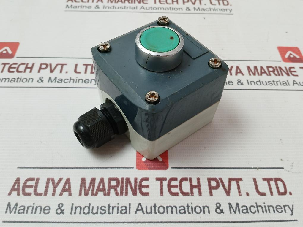 Reny R9C01Vn Green Push Button Switch Unit
