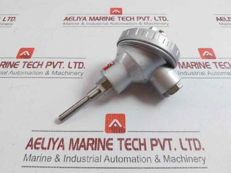 Resistance Temperature Detector Wzp-138 Shanghai Automation