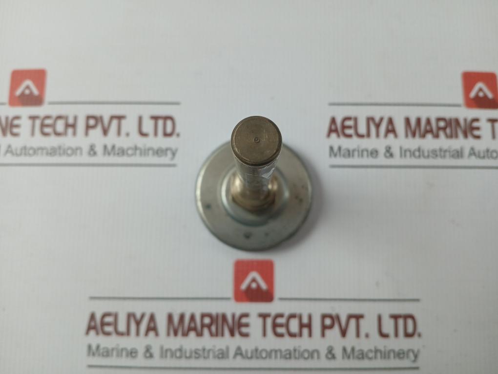 Insertion Temperature Gauge 0 To 120°C Rexo Therm