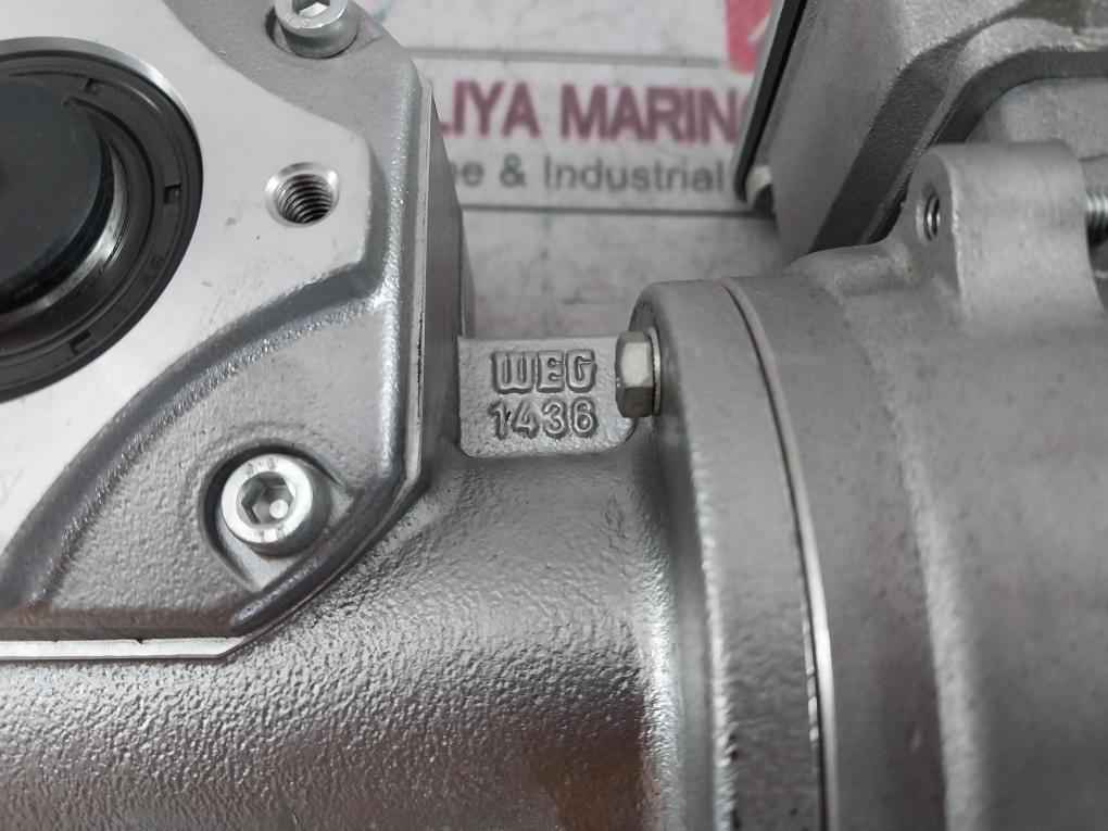 Rexroth 3 842 503 783 Three-phase Motor With Thermal Protection 657803 Ip55