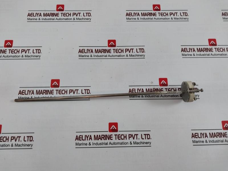 Riccato Pt-100 Ω Rtd Temperature Sensor 350-mm