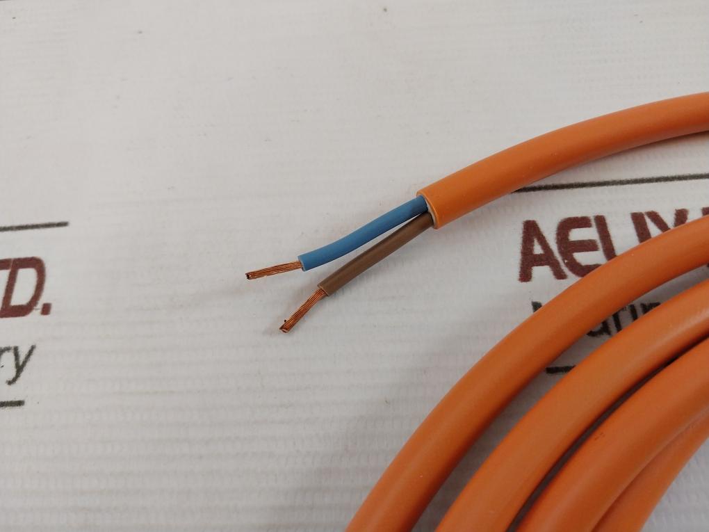 Rittal Sz 2500.420 2-pole Connection Cable 03348603204222138373 250V 3.00M