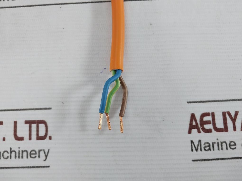 Rittal Sz 4315.100 Connection Cable 3000Mm 6050100 Iec61535 20A/Iec60320 16A