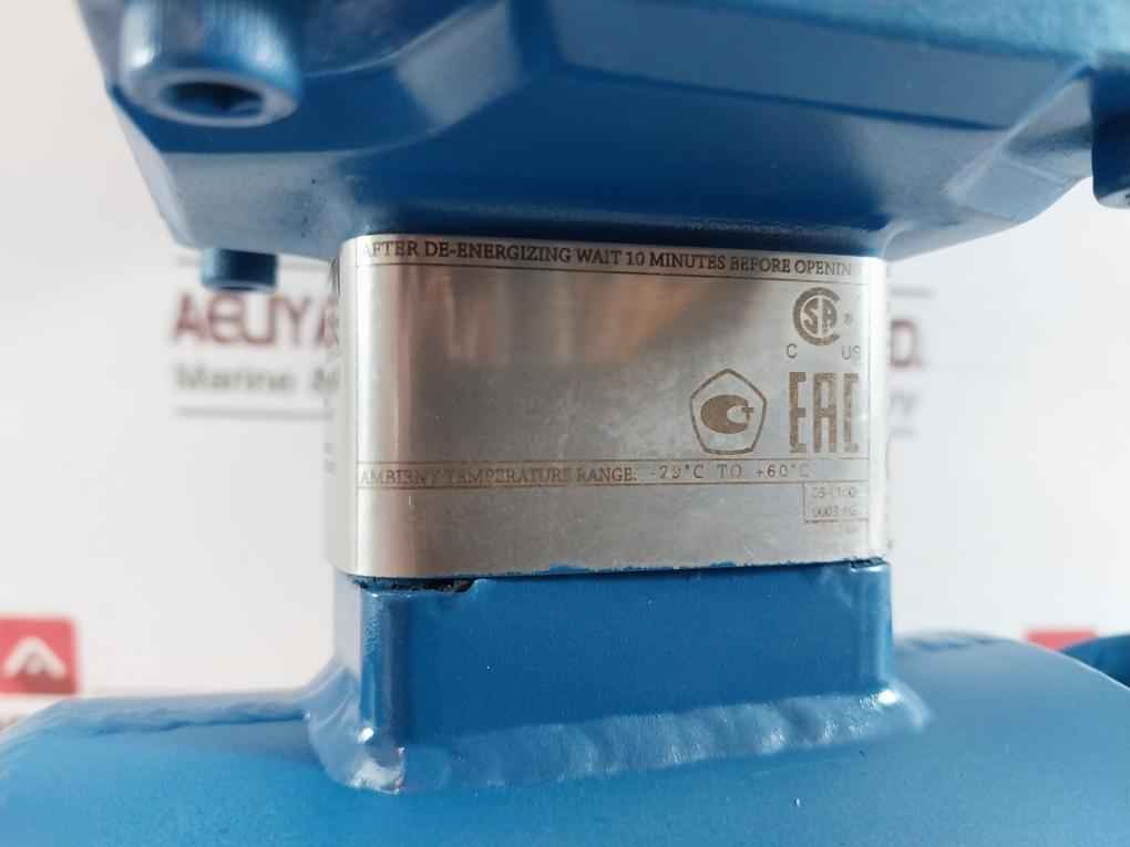 Rosemount 8750Wdmt1A1Ftsa010Ca1M4 Hart Communication Protocol Magnetic Flowtube