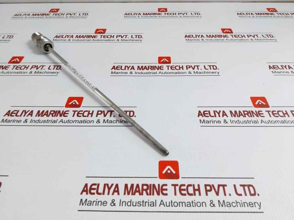 Rtd Temperature Sensor L-300 C8B.641.75.01.613