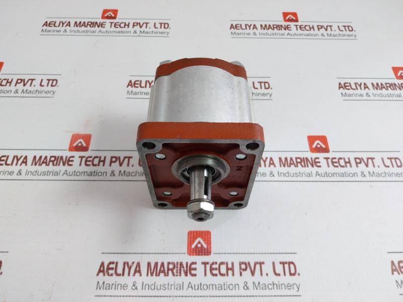 Salami Hydraulic Pump 2Pe 11.3D-p28P1