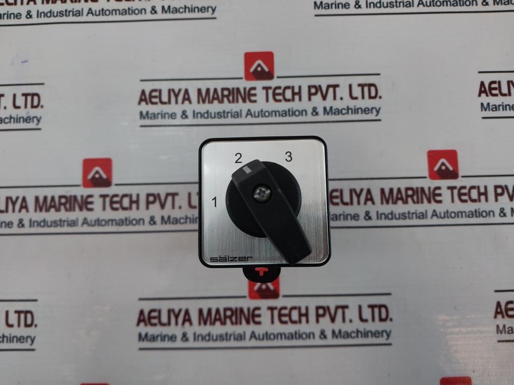 Salzer P220-61069-219M1 Rotary Cam Switch 20A, 300Vac