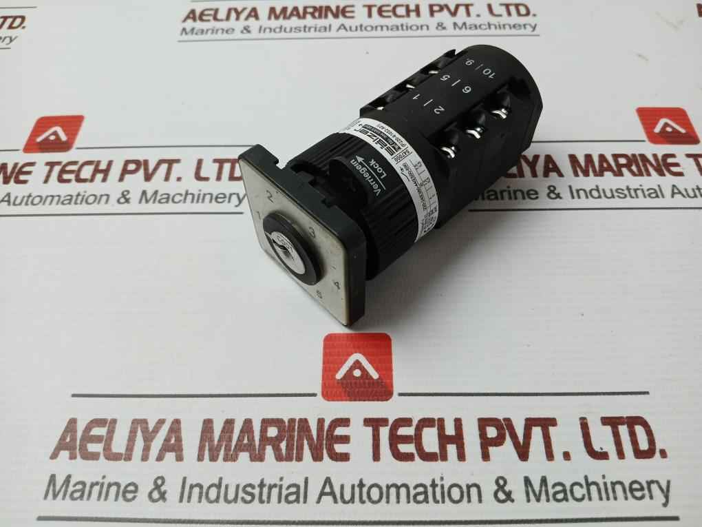 Salzer Rotary Cam Switch 20A, 300Vac Part: P220-61052-s001D