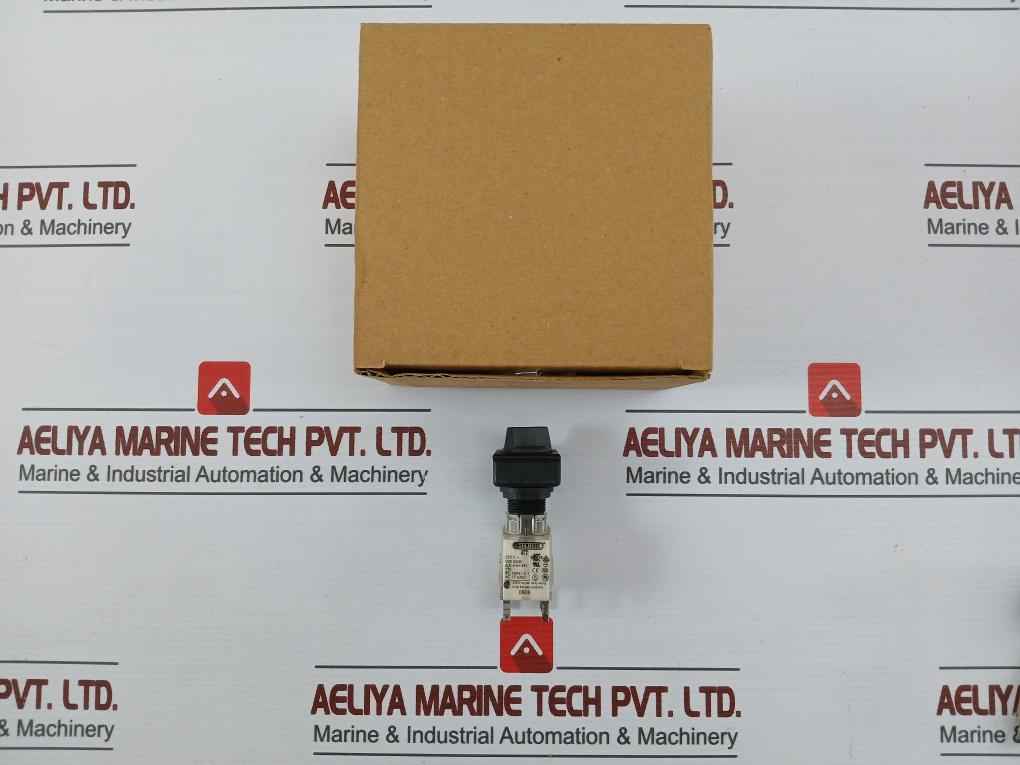 Schlegel At2 Head Push Button Switch 250V 6(3)A