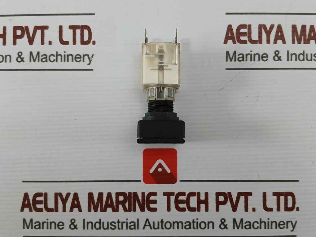 Schlegel At Head Push Button Switch 250V 6(3)A