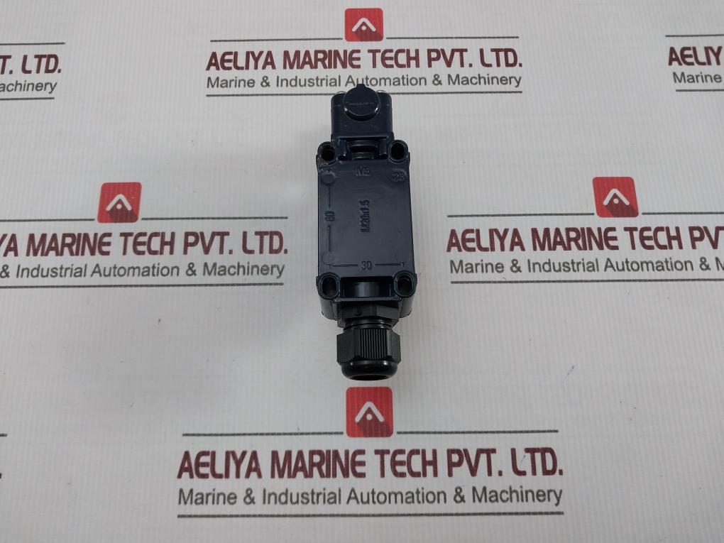 Schmersal T4V7H 335-11Z Limit Switch