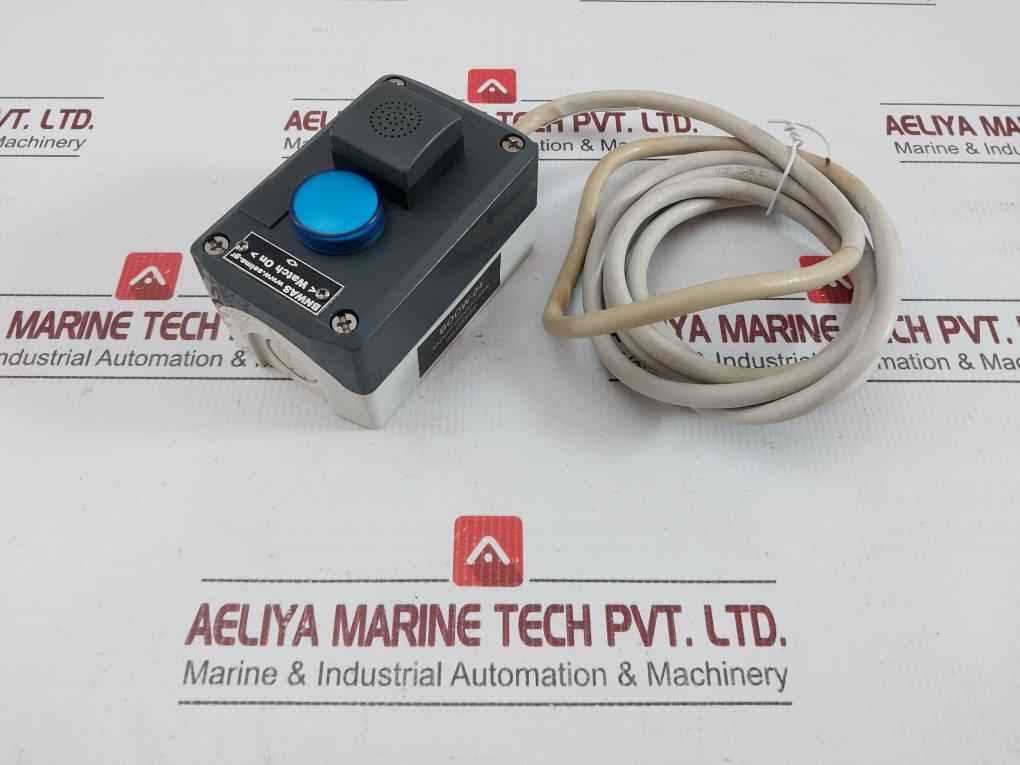 Schneider Electric Bridge Navigational Watch Alarm System 2- Meter Cm12
