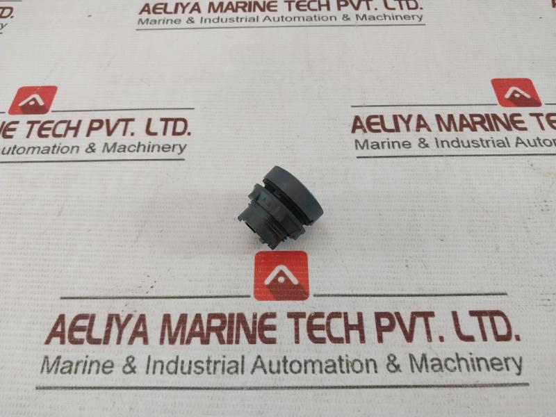 Schneider Electric Xb5Aa61N Push Button Spring Return 240V 3A 10A Zbe-101N